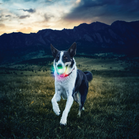 Hundespielzeug Nite Ize Glowstreak LED Ball