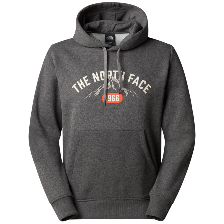 Herren-Sweatshirt The North Face M Hoodie Varsity Graphic grau TNF MEDIUM GREY HEATHER