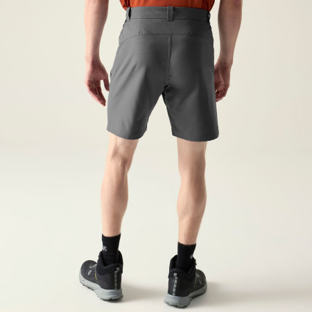 Herrenshorts Dare 2b Torrek II Short
