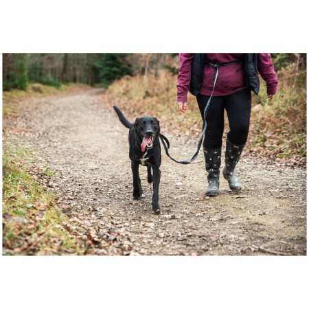 Leine mit Stoßdämpfer Mountain Paws Shock Absorber Dog Lead