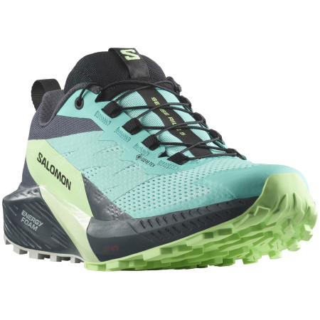 Damen Laufschuhe Salomon Sense Ride 5 Gore-Tex blau/grün Blue Radiance / Green Ash / India Ink
