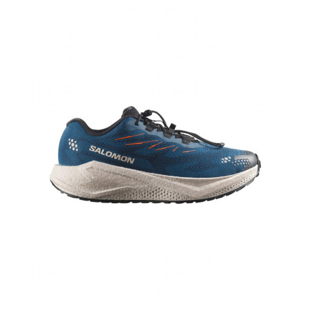 Herrenschuhe Salomon Aero Blaze 4 Grvl