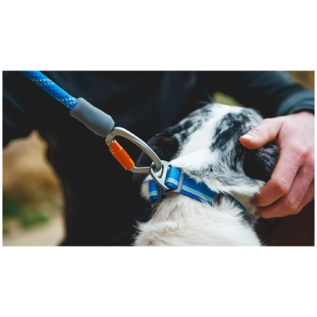 Hundeleine Ruffwear Knot-a-Leash™