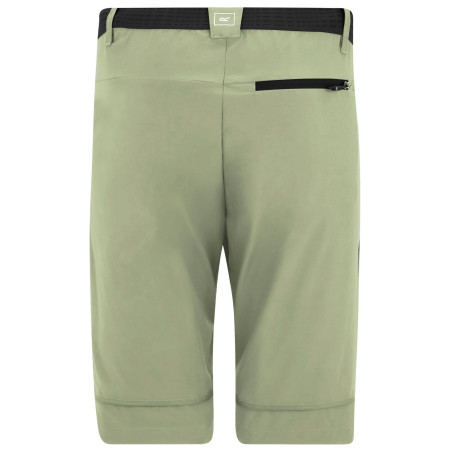 Herrenhose Regatta Mountain Z/O Trousers
