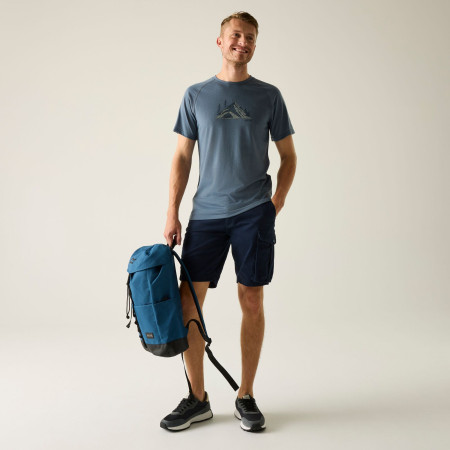 Herrenshorts Regatta Bendrick Shorts