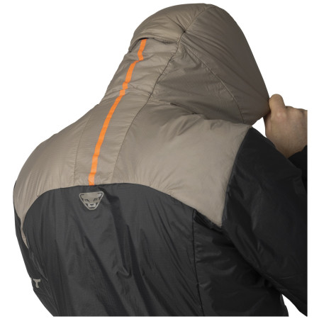 Herren-Winterjacke Dynafit Radical Prl Hood Jkt M