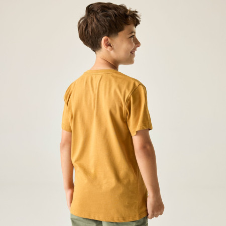 Kinder-T-Shirt Regatta Bosley Wood Brown