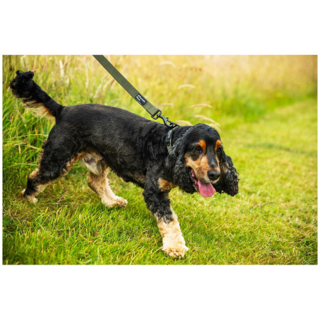 Hundeleine Mountain Paws Extra Tough Dog Lead