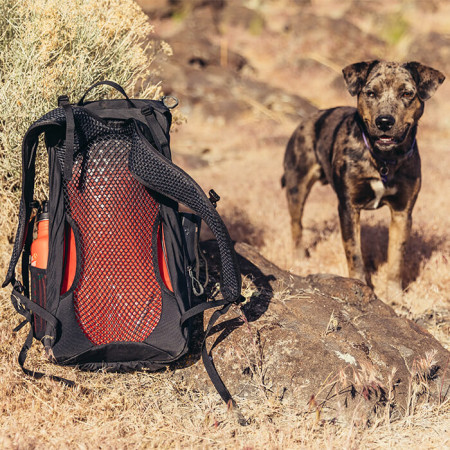 Rucksack Gregory Arrio 24 RC