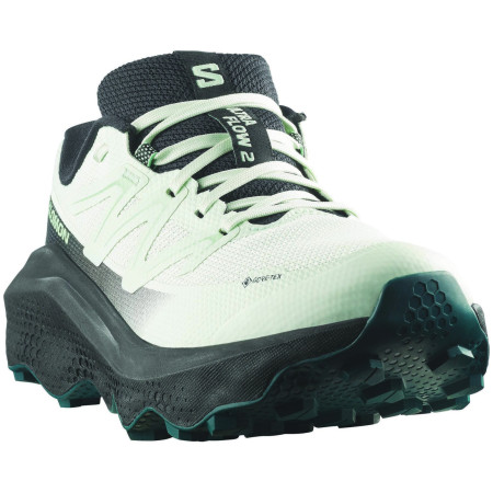 Damen Laufschuhe Salomon Ultra Flow 2 Gore-Tex