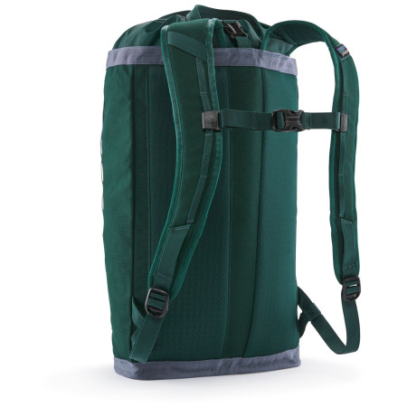 Rucksack Patagonia Fieldsmith Linked Pack 24L