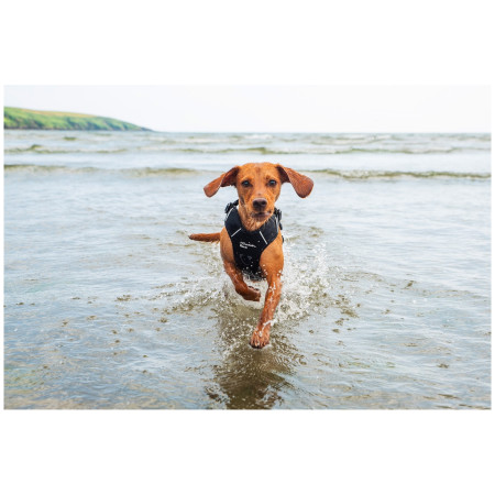 Hundegeschirr Mountain Paws Dog Harness