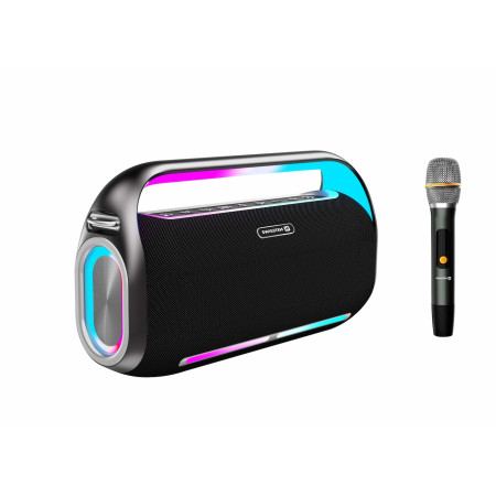 Lautsprecher Swissten HARMONY 200W