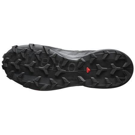 Herrenschuhe Salomon Speedcross 6