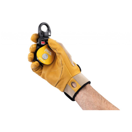 Umlenkrolle Petzl Spin S1