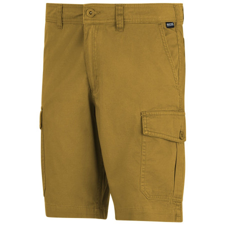 Herrenshorts Regatta Ruwan Shorts