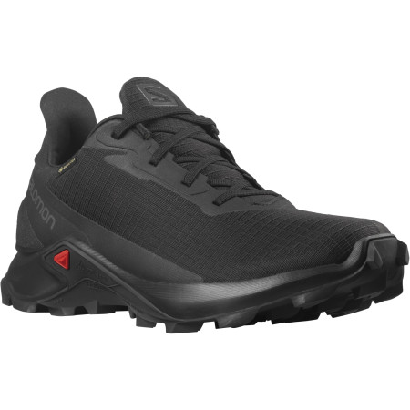 Damenschuhe Salomon Alphacross 3 Gore-Tex schwarz Black(PantoneTapShoe)