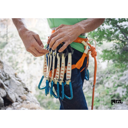 Klettergurt Petzl Hirundos