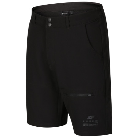 Herrenshorts Alpine Pro Bak