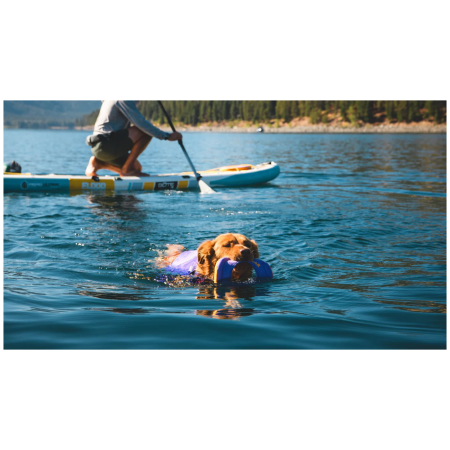 Hundespielzeug Ruffwear Hydro Plane™ Toy Medium