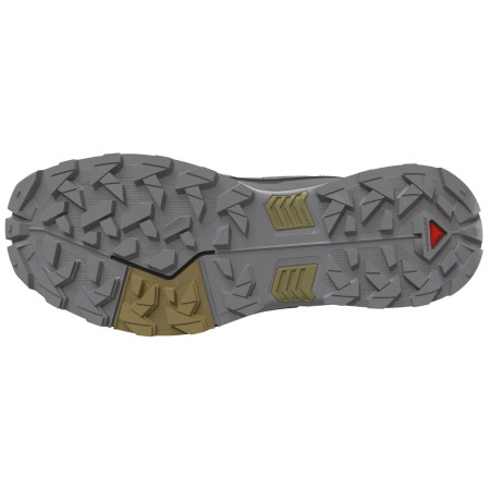 Wanderschuhe Salomon X Ultra 5