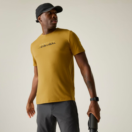 Herren-T-Shirt Regatta Fingal Stretch