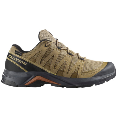 Wanderschuhe Salomon X-Adventure Recon Gore Tex