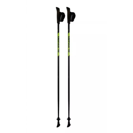 Nordic Walking Stöcke Blizzard Carbon Lite nordic walking poles schwarz/grün black/green