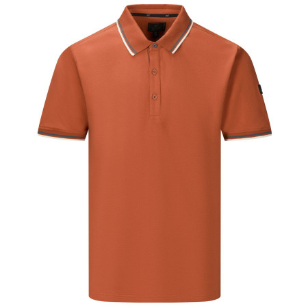 Herren-T-Shirt Regatta Adryan Polo braun Brick