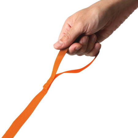 Kinderrucksack LittleLife Toddler Backpack, FF, Lion