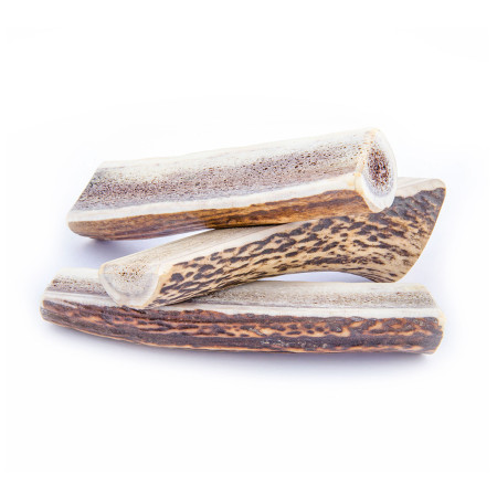 Hundespielzeug Explorer Dog Antler Chew easy
