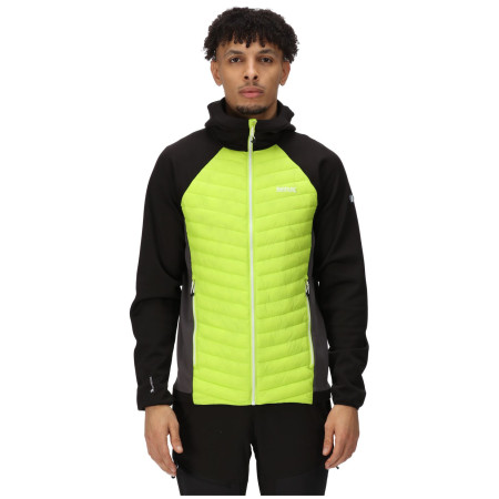 Herren-Winterjacke Regatta Andreson VII Hybrid