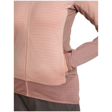 Damen Funktions-Sweatshirt Icebreaker Women Merino Blend 300 RealFleece™ Descender LS Zip