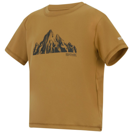 Kinder-T-Shirt Regatta Alvarado Wood Brown