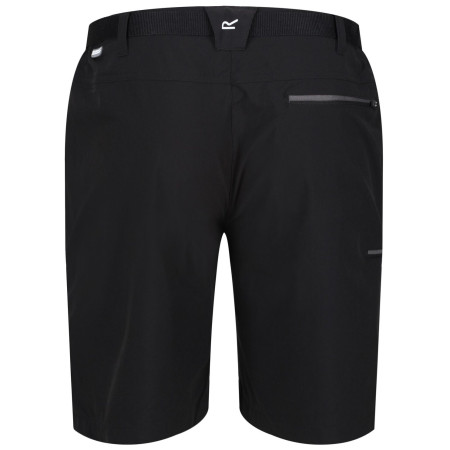 Herrenshorts Regatta Xert Stretch Shorts III