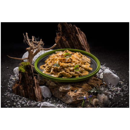 Trekkingnahrung Adventure Menu Knusprige Protein-Penne mit Hähnchen in kreolischer Sahnesauce