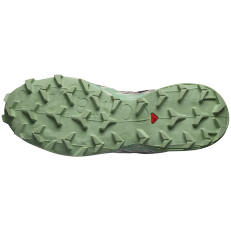 Damen Laufschuhe Salomon Speedcross 6