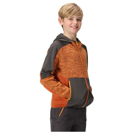 Kinder-Sweatshirt Regatta Dissolver VII