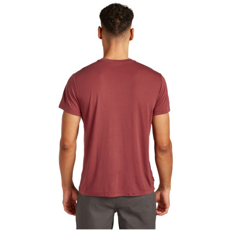 Herren-Funktionsshirt Icebreaker M Mer Core SS Tee Tech Head