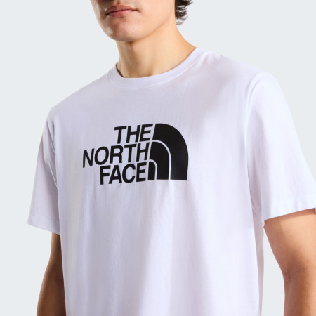 Herren-T-Shirt The North Face Evolution Half Dome Regular Short Slee