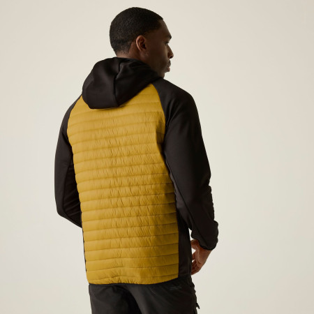 Herrenjacke Regatta Andreson Hybrid