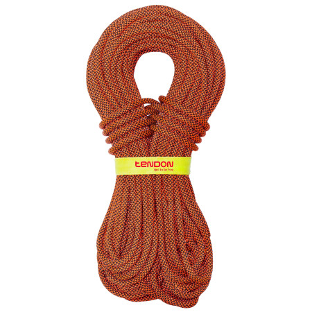 Seil Tendon Indoor 9,8 50m orange