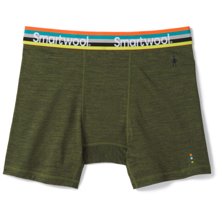 Herren funktionelle Boxershorts Smartwool M Merino Sport 150 Boxer Brief Boxed grün MossGreenHeather