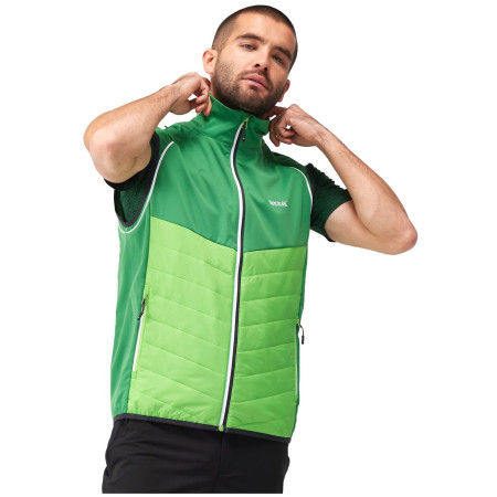 Herrenjacke Regatta Steren Hybrid