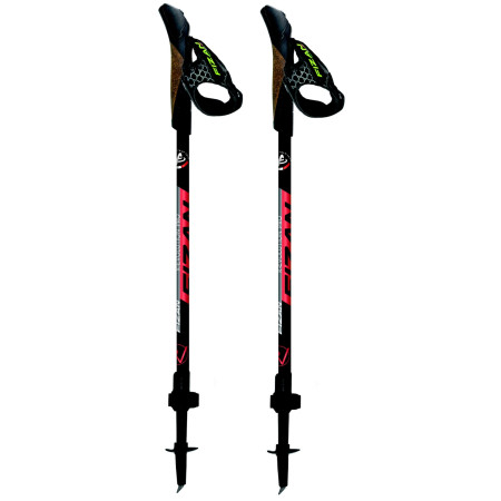 Trekkingstöcke Fizan Revolution Pro + Bag schwarz Black