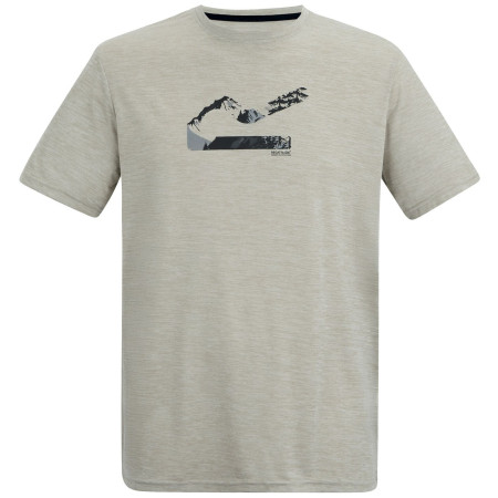 Herren-T-Shirt Regatta Fingal hellgrau AbbeystonMrl