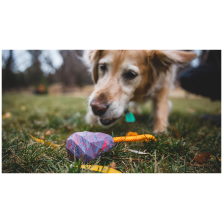 Hundespielzeug Ruffwear Huck-a-Cone™ Toy