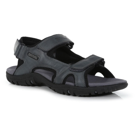 Herrensandalen Regatta Haris grau Briar