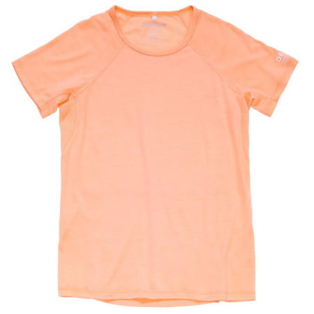 Damen-T-Shirt Devold Endurance Merino 130 Tee Wmn hellrosa SUNRISE
