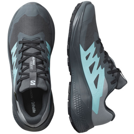 Damenschuhe Salomon Alphaglide Gore-Tex